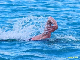 triathlon-port-louis-2018021