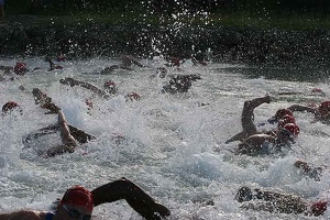 natation-cd7