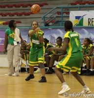basket2010-feminine18