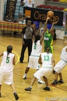 basket2010-feminine23