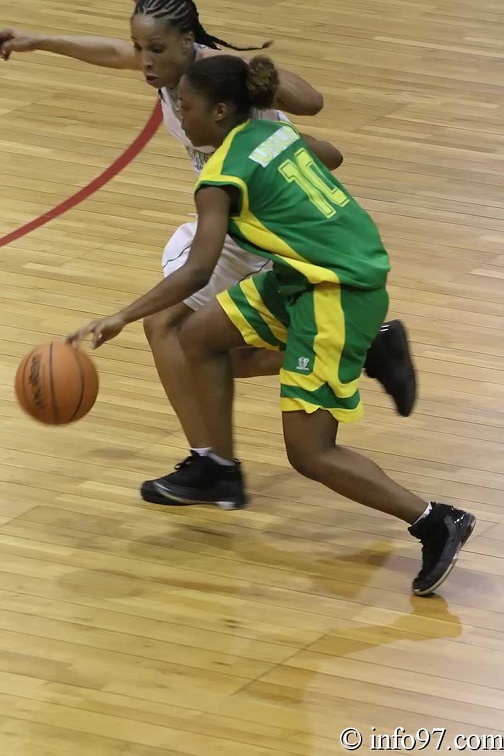 basket2010-feminine25.jpg