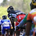 GPNBT-2013-11.jpg