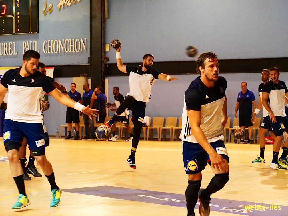 handball-france-danemark022.jpg