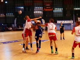 handball-france-danemark058