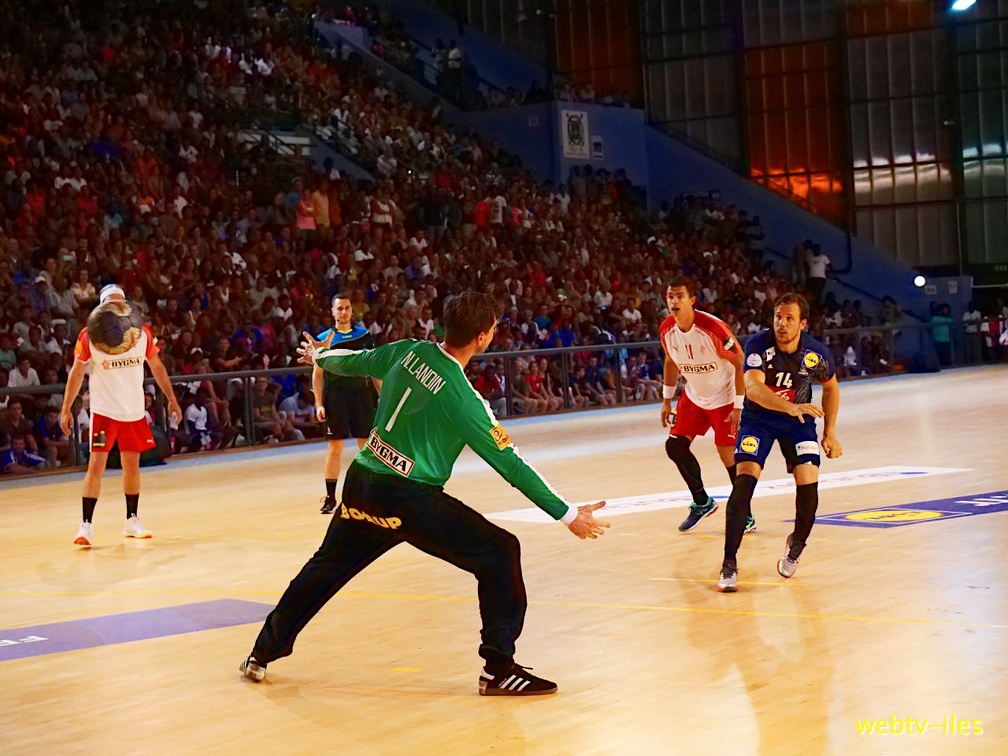handball-france-danemark075.jpg