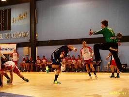 handball-france-danemark090
