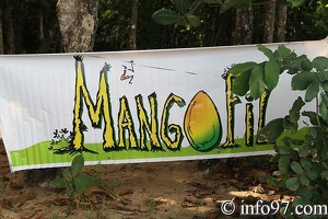 mangofil8