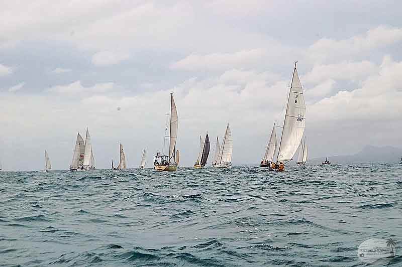 triskell-course24.jpg