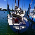 marina-route-du-rhum2018058.jpg