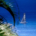 marina-route-du-rhum2018095.jpg
