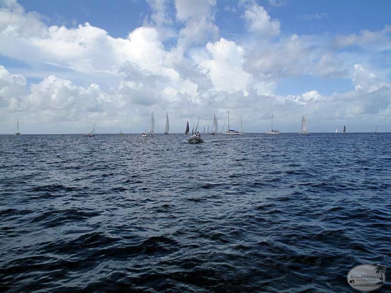 tour-voile-guadeloupe17.jpg