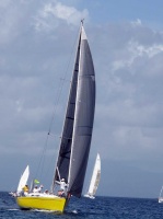 tour-voile-guadeloupe19