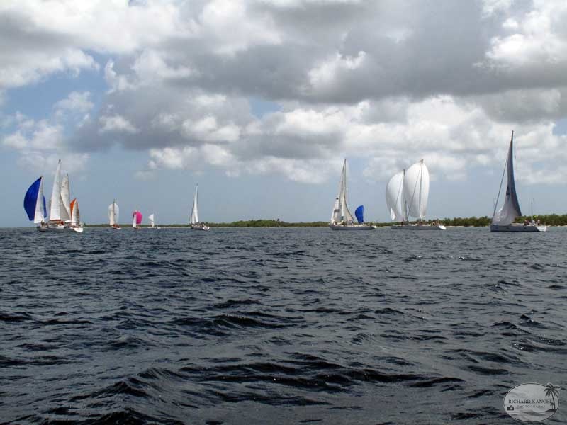 tour-voile-guadeloupe22.jpg