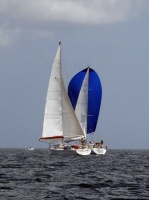 tour-voile-guadeloupe24