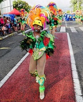 carnaval-basse-terre-2019029