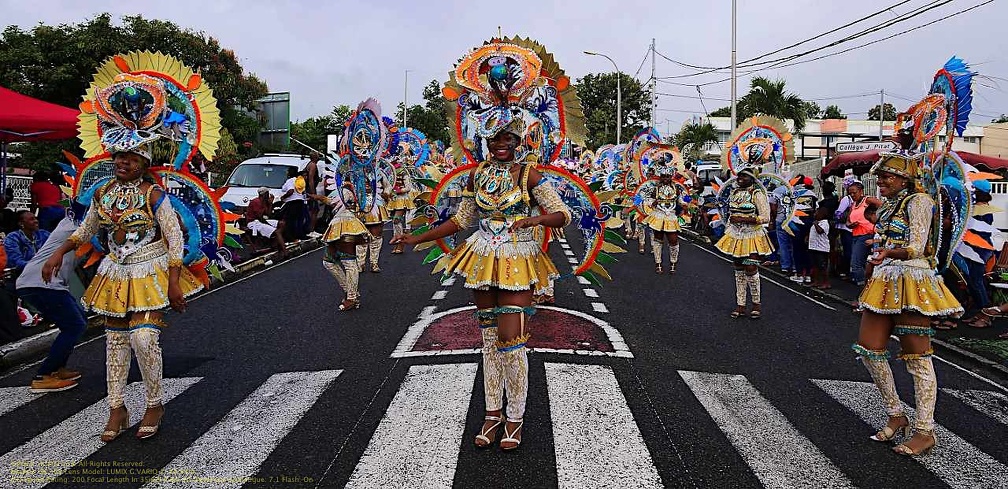 carnaval-basse-terre-2019096.jpg