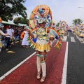 carnaval-basse-terre-2019098.jpg
