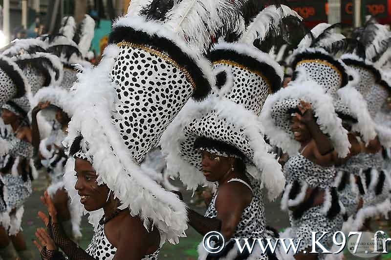 carnaval2008-papc1.jpg