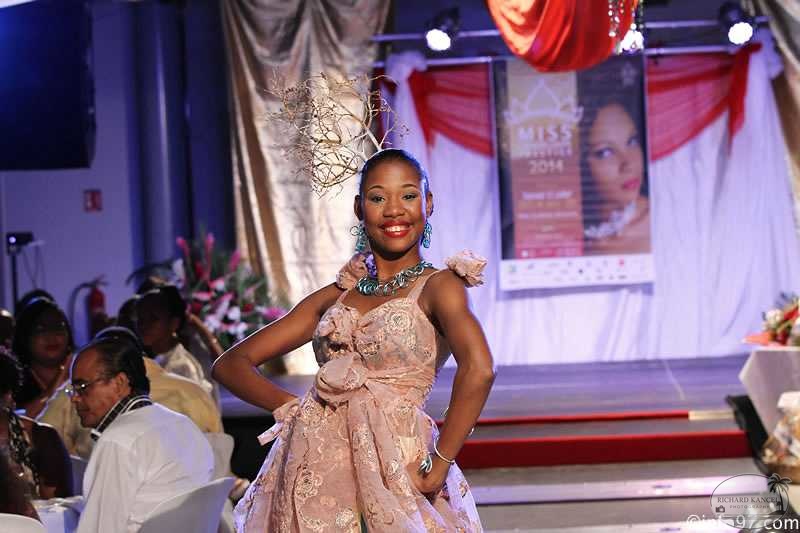 IMG_2902partie1-miss-guadeloupe-prestige2014.jpg