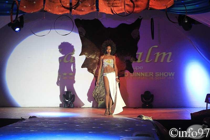 hibiscus2011-maillot1.jpg