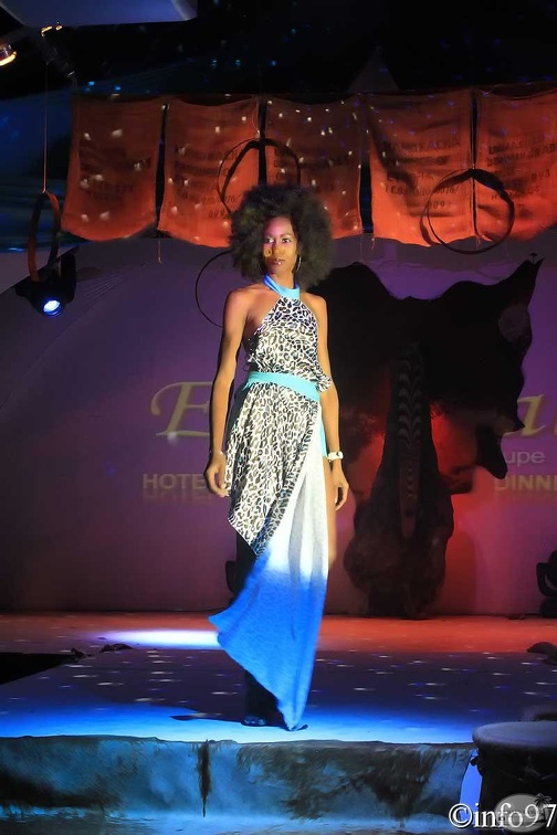 hibiscus2011-maillot10.jpg