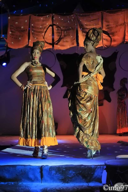hibiscus2011-robe6.jpg
