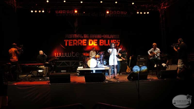 terr-de-blues-2012-artiste2-148.jpg