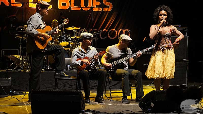 terre-de-blues2012-artiste1142.jpg