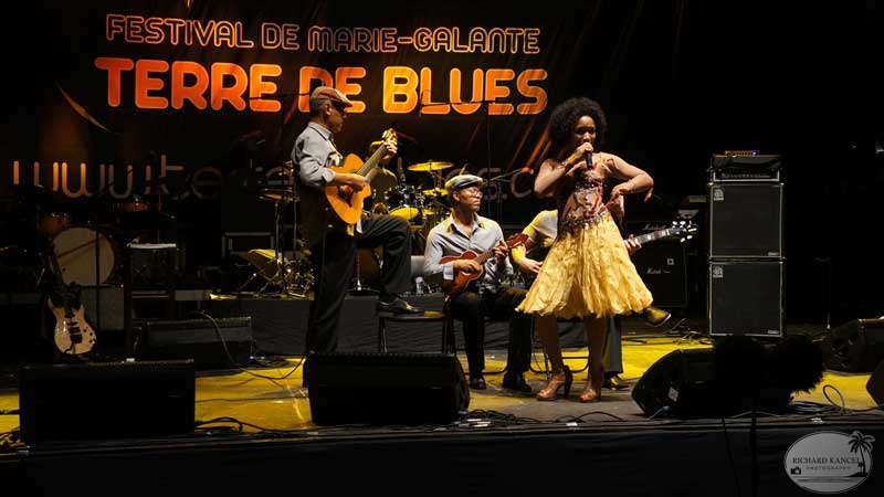 terre-de-blues2012-artiste1143.jpg
