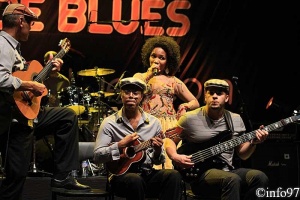 terre-de-blues2012-artiste5