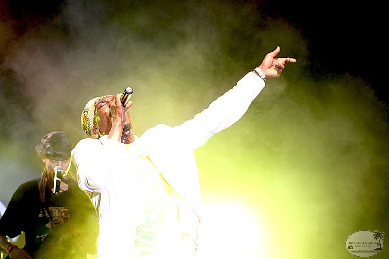 antony-b12.jpg