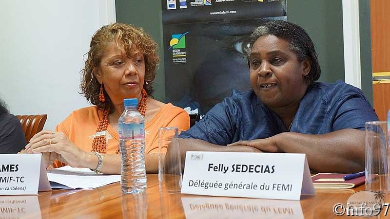 conference-presse-femi2012-10.jpg