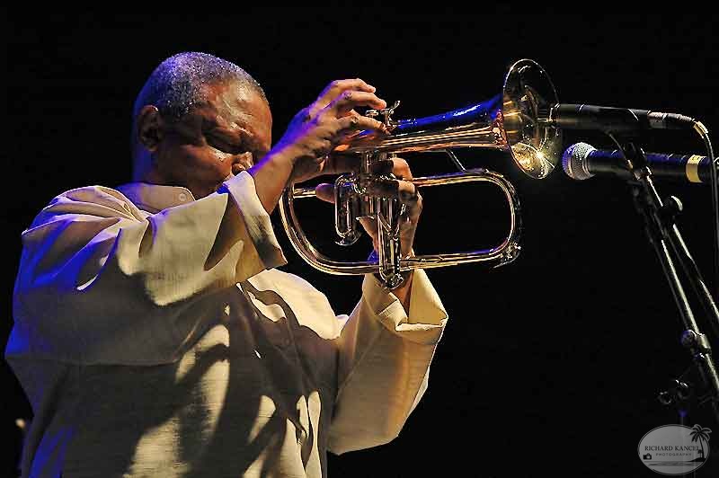 masekela6.jpg