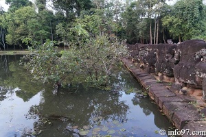 DSC05304grand-circuit-angkor