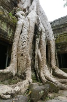 DSC05183petit-circuit-angkor