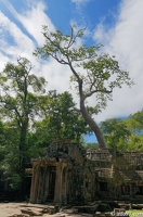 DSC05185petit-circuit-angkor