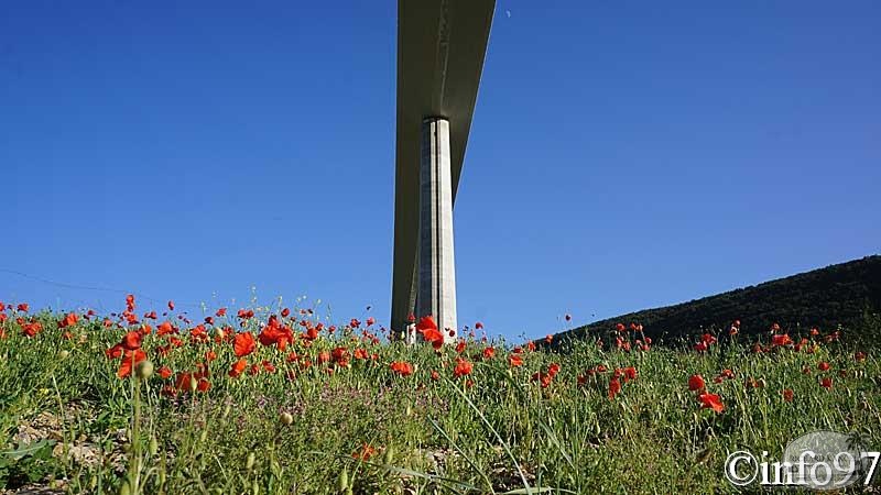millau-23.jpg