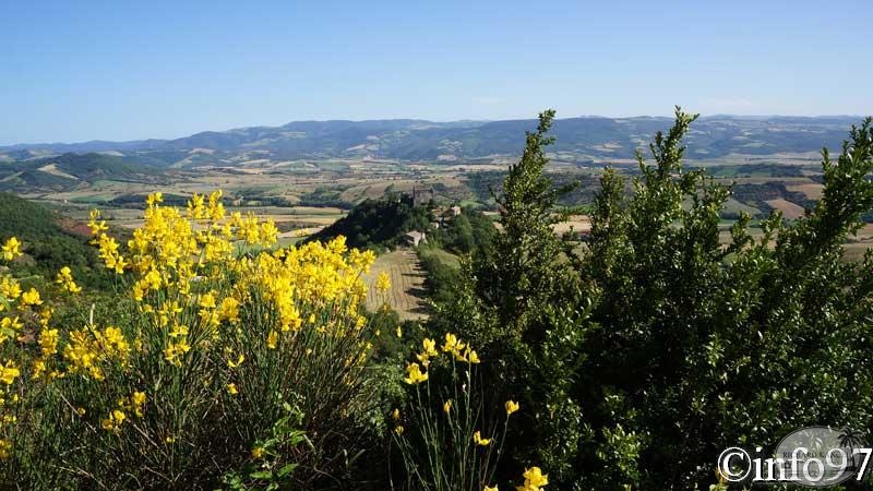 millau-31.jpg