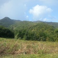 amandiers-100512.jpg