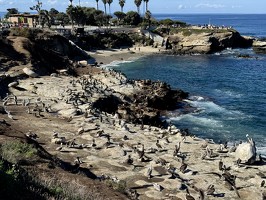 IMG 4026-san-diego