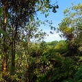 P1010007-Hilo.jpg