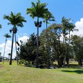 P1010055-Hilo.jpg