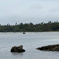 IMG_2859-neiafu-tonga.jpg