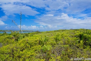 DSC05777-Petite-Terre