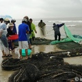 DSC02668danang.jpg