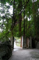 DSC01921culture-hanoi