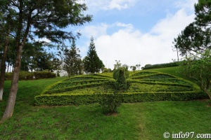 DSC03419dalat-jardin