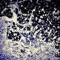eaux-5.jpg