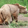 zoo-st-felicien-16.jpg