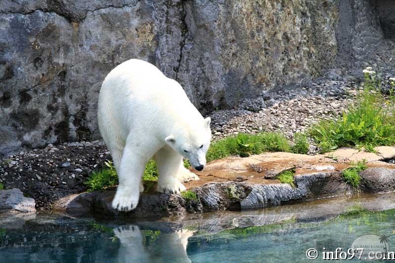 zoo-st-felicien-53.jpg